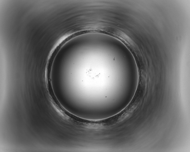 X0000087040788200704181214