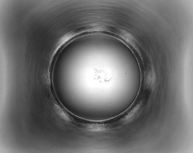 X0000087040789200704181214