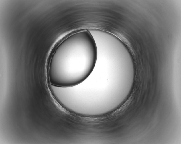 X0000087040792200704181214