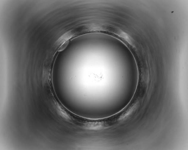 X0000087040793200704181214