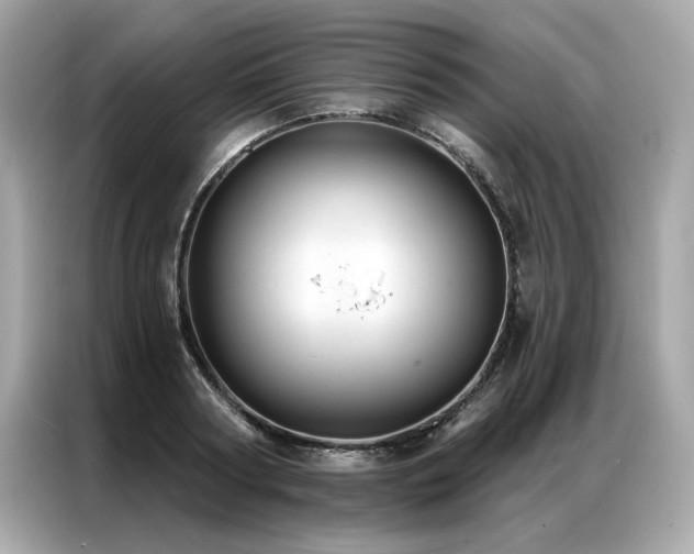 X0000087040794200704181214