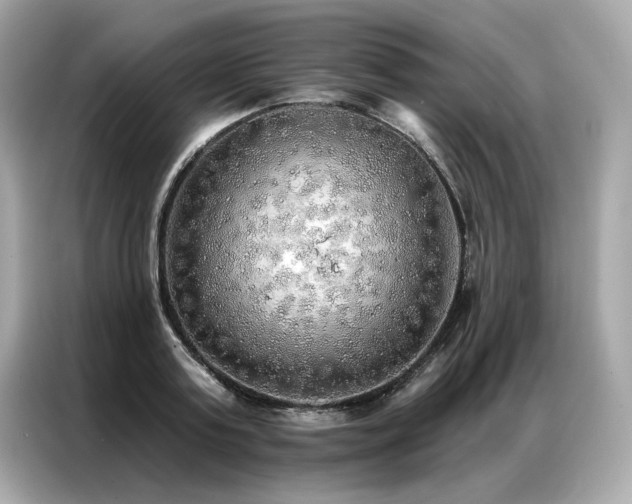 X0000087040795200704181214