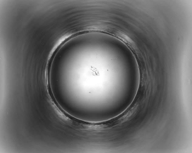 X0000087040796200704181214