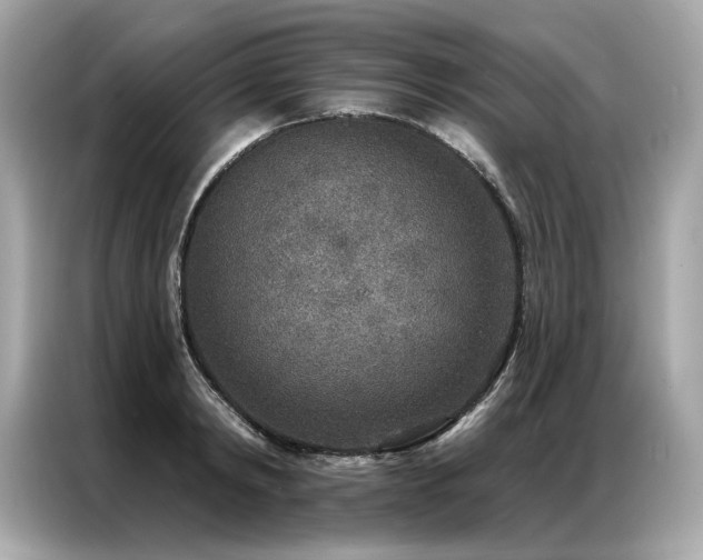 X0000087040798200704181214