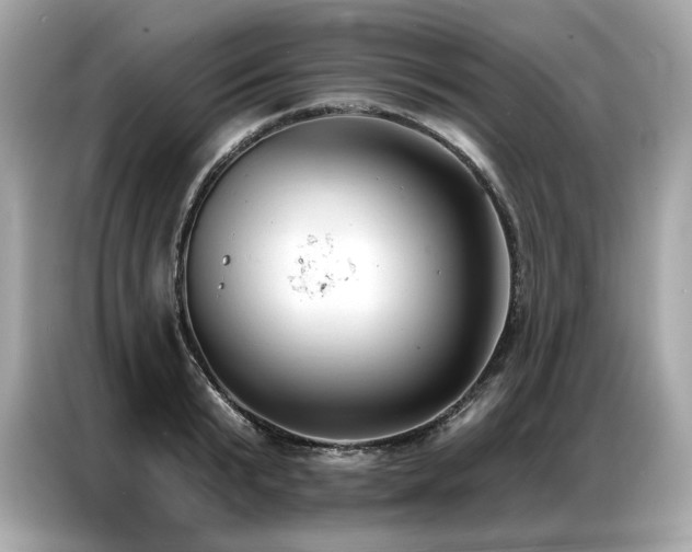 X0000087040799200704181214