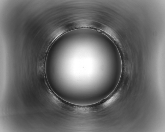 X0000087040801200704181214