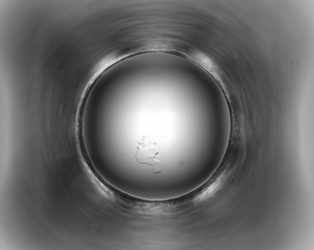 X0000087040803200704181214