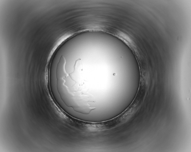 X0000087040804200704181214