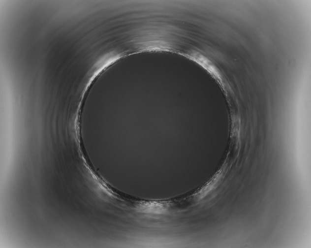 X0000087040806200704181214