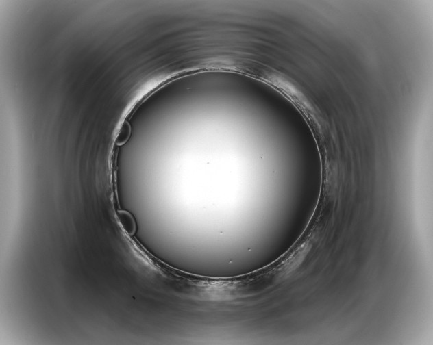X0000087040808200704181214