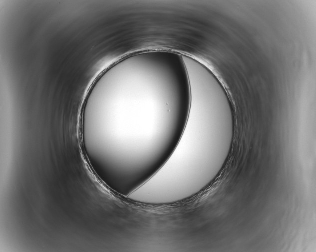 X0000087040815200704181214