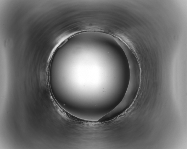 X0000087040816200704181214