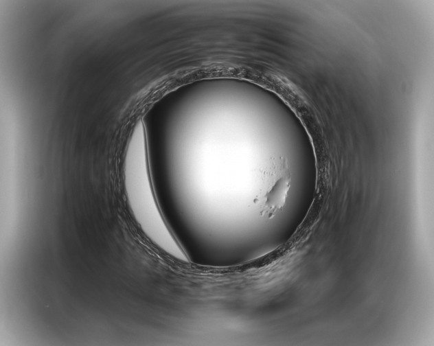 X0000087040821200704181213