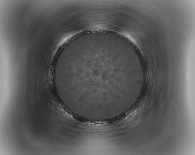 X0000087040823200704181213