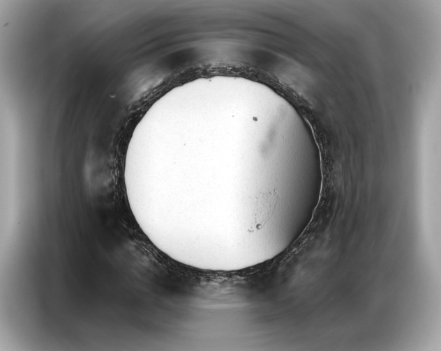 X0000087040824200704181213