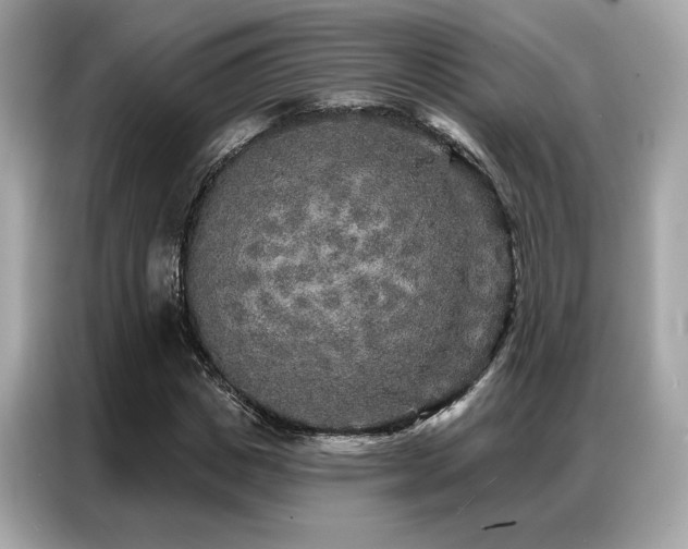 X0000087040825200704181213