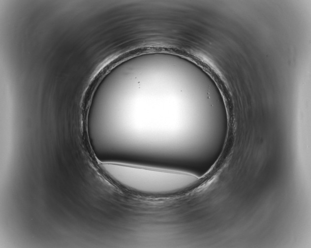 X0000087040829200704181213