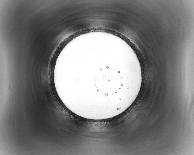 X0000087040832200704181214
