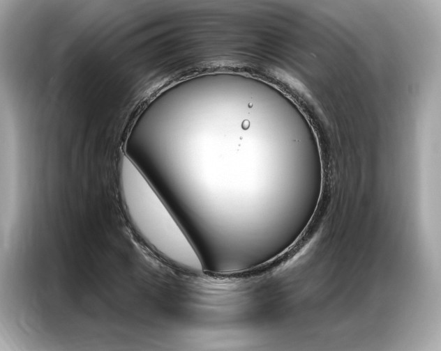 X0000087040833200704181214