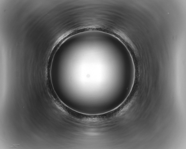 X0000087040834200704181214
