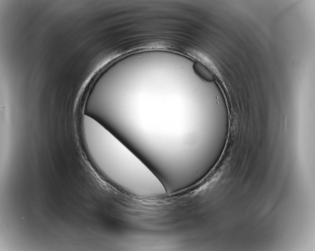 X0000087040835200704181214