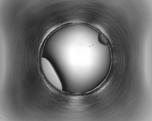X0000087040837200704181214