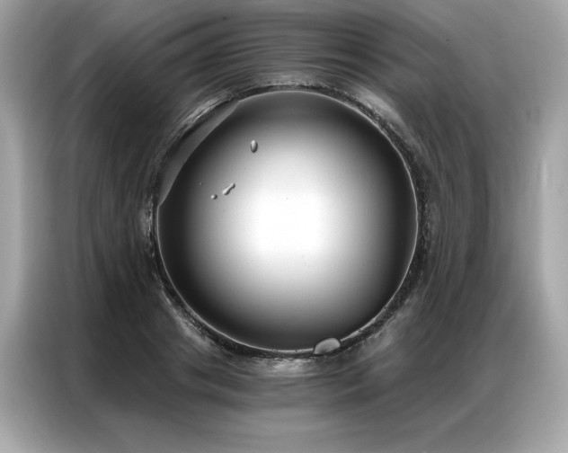 X0000087040841200704181214