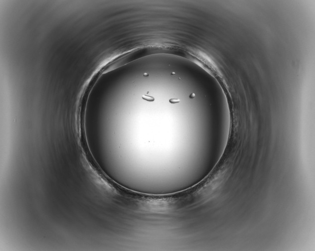 X0000087040843200704181214