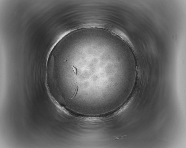 X0000087040844200704181214