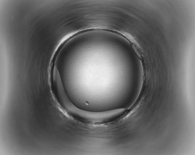 X0000087040846200704181214