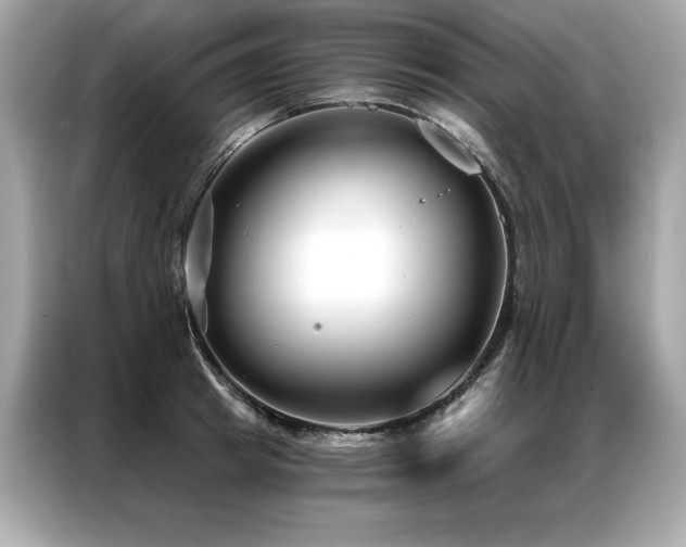 X0000087040849200704181214