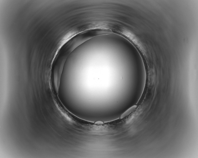 X0000087040850200704181214