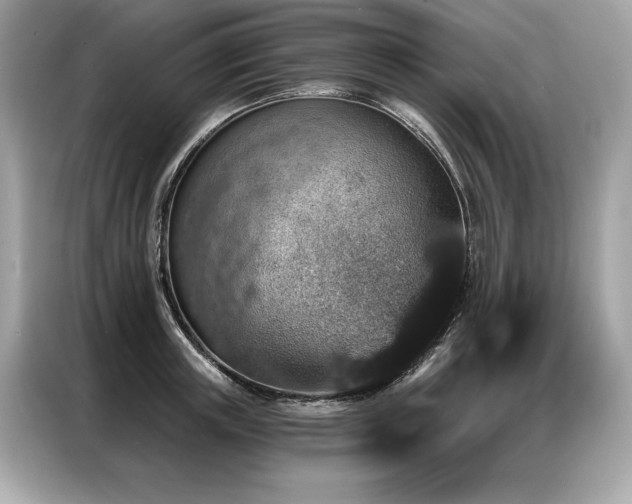 X0000087040851200704181214