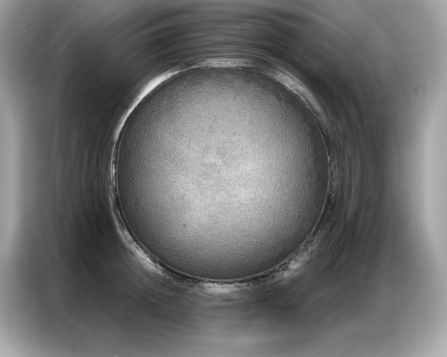 X0000087040852200704181214