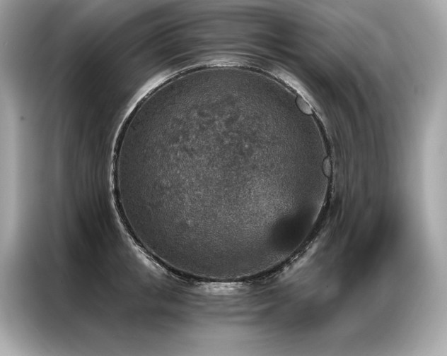 X0000087040853200704181214