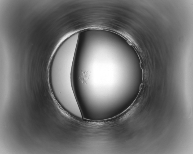 X0000087040854200704181214