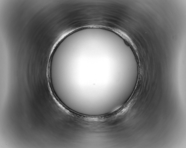 X0000087040855200704181214