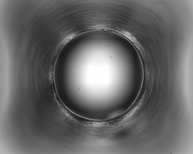 X0000087040857200704181214