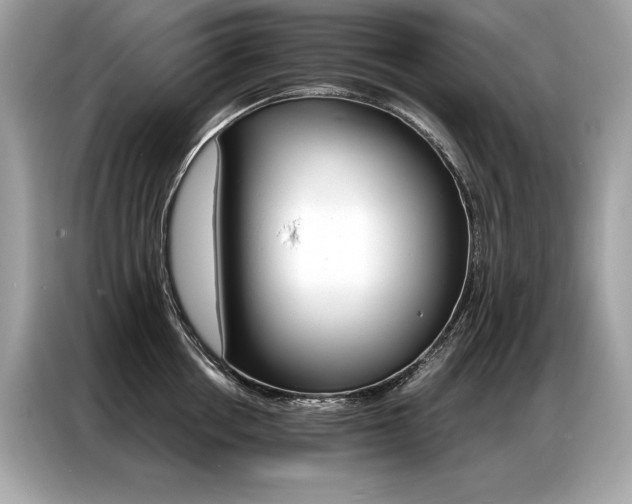 X0000087040858200704181214