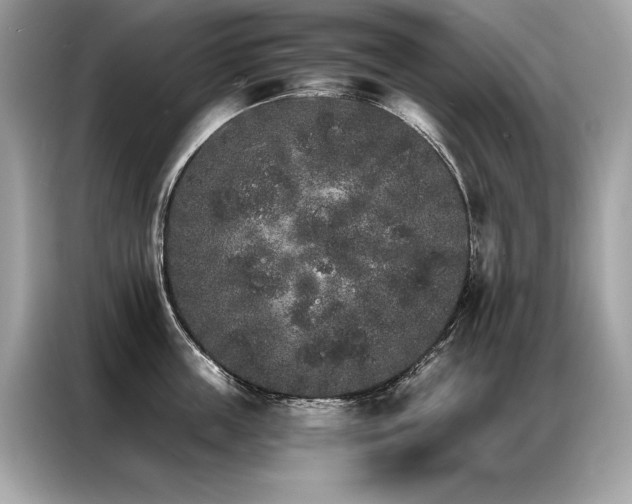 X0000087040859200704181214