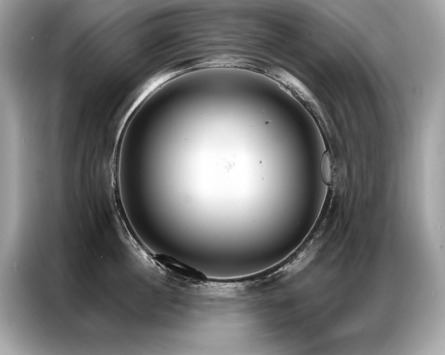 X0000087040860200704181214