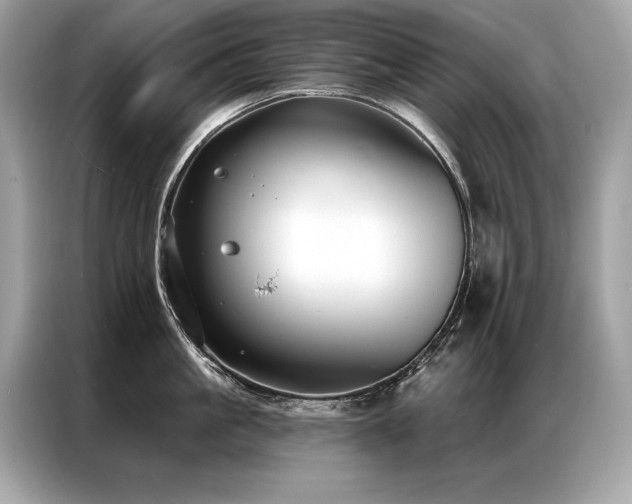 X0000087040861200704181214