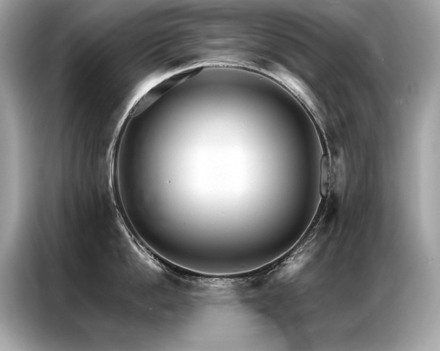 X0000087040862200704181214