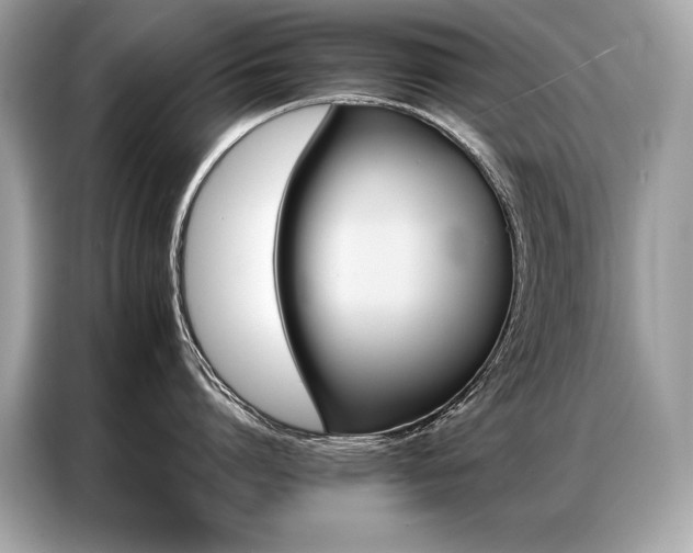 X0000087040864200704181214