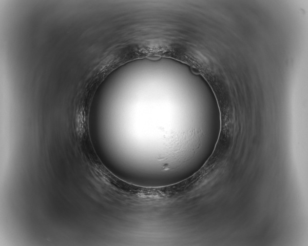 X0000087040866200704181213