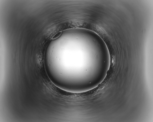 X0000087040867200704181213