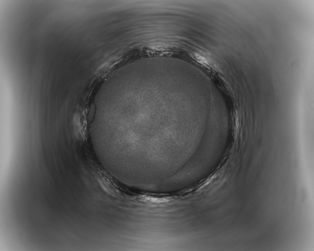X0000087040868200704181213