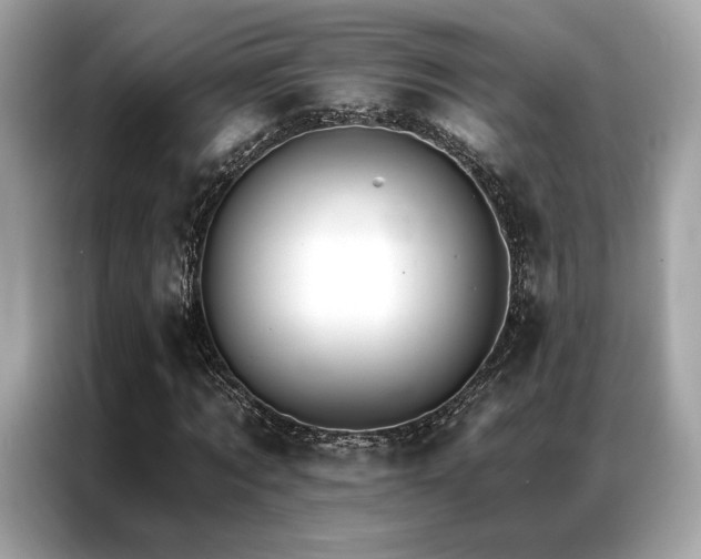 X0000087040869200704181213