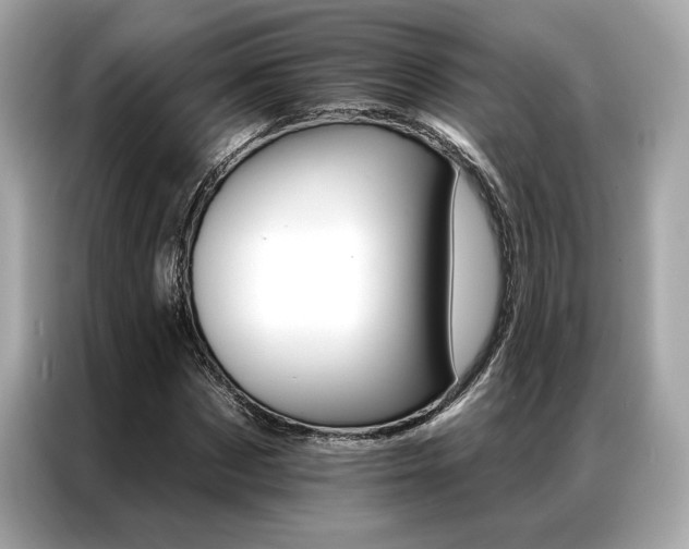 X0000087040873200704181213