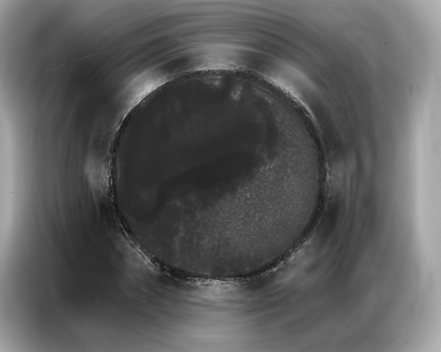 X0000087040874200704181213